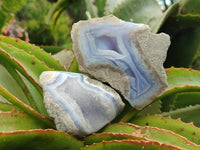 Polished On One Side Blue Lace Agate Geodes x 6 From Nsanje, Malawi