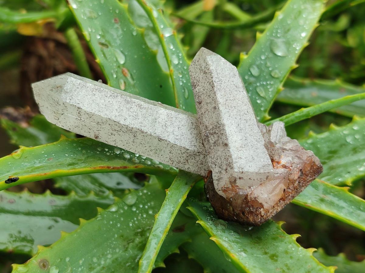 Natural Mixed Small Quartz Crystal Clusters x 35 From Madagascar