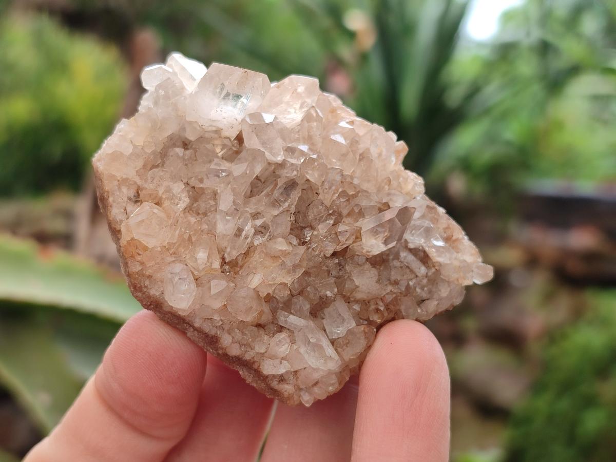 Natural Mixed Small Quartz Crystal Clusters x 35 From Madagascar