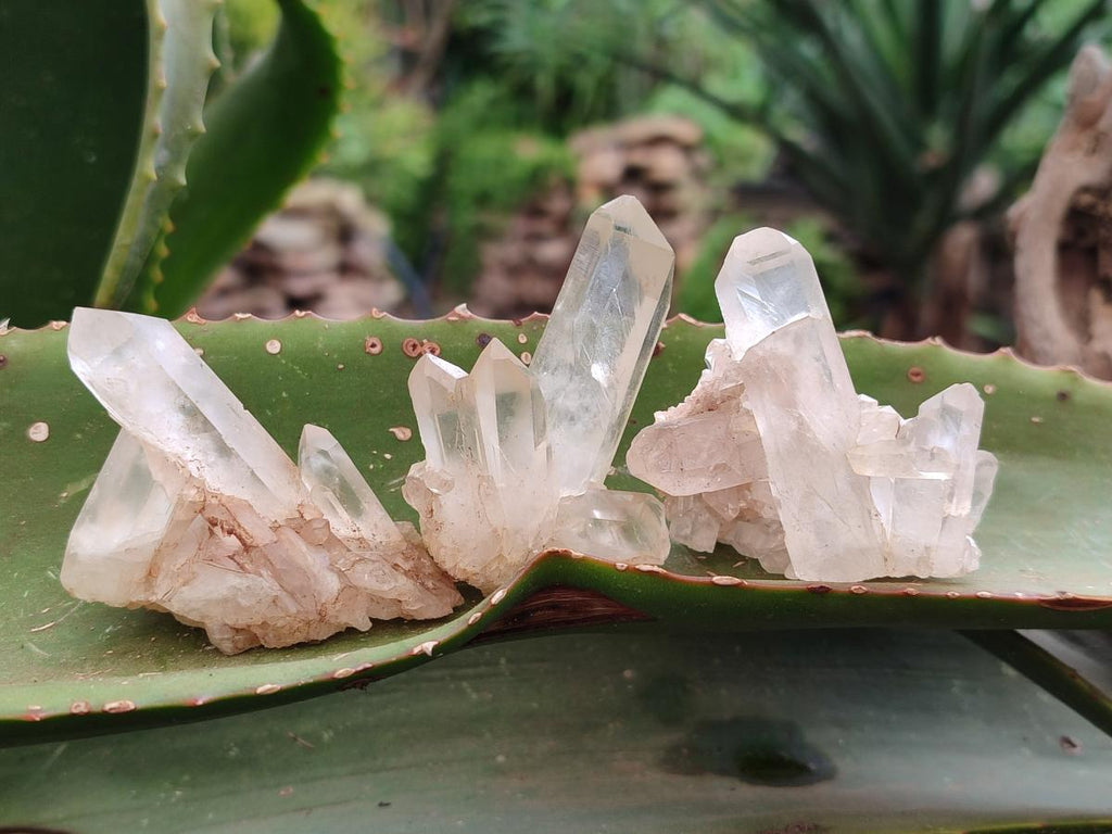 Natural Mixed Small Quartz Crystal Clusters x 35 From Madagascar
