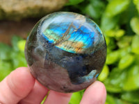 Polished Labradorite Galets x 12 From Tulear, Madagascar
