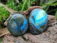 Polished Labradorite Galets x 12 From Tulear, Madagascar