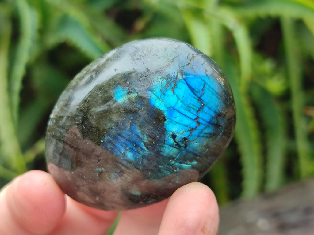 Polished Labradorite Galets x 12 From Tulear, Madagascar