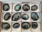 Polished Labradorite Galets x 12 From Tulear, Madagascar