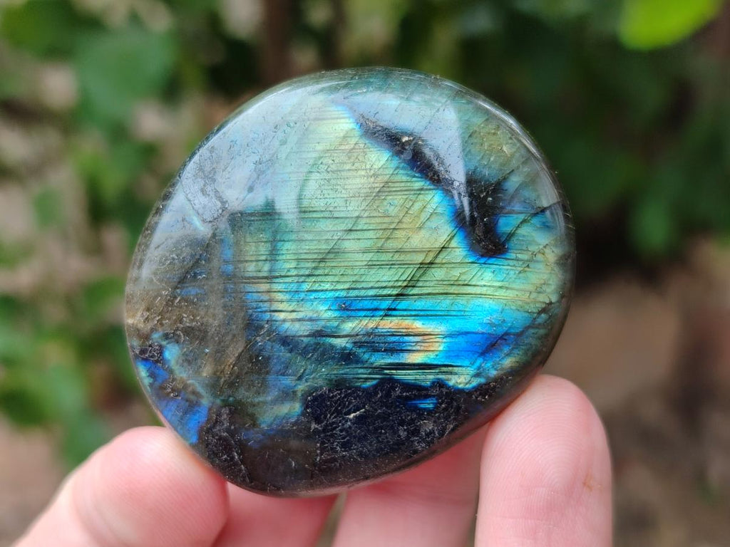 Polished Labradorite Galets x 12 From Tulear, Madagascar
