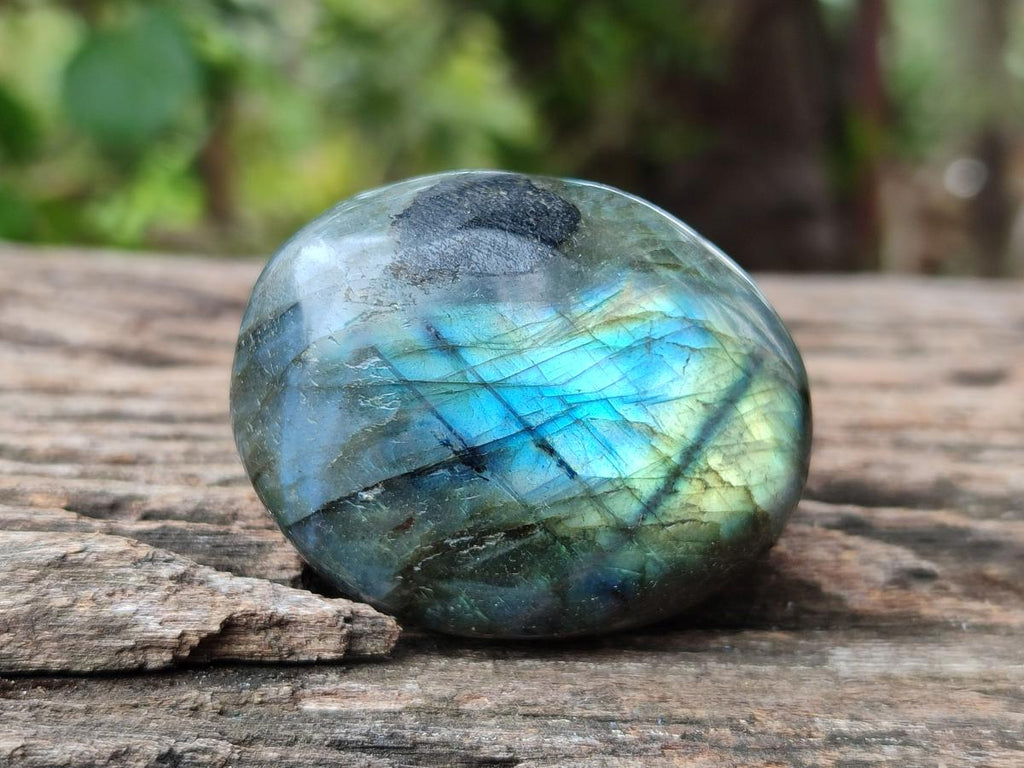 Polished Labradorite Galets x 12 From Tulear, Madagascar
