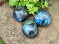 Polished Labradorite Galets x 12 From Tulear, Madagascar