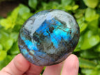 Polished Labradorite Galets x 12 From Tulear, Madagascar
