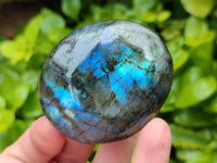 Polished Labradorite Galets x 12 From Tulear, Madagascar
