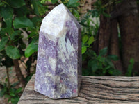 Polished Lepidolite With Pink Rubellite Standing Point x 1 From Ambatondrazaka, Madagascar