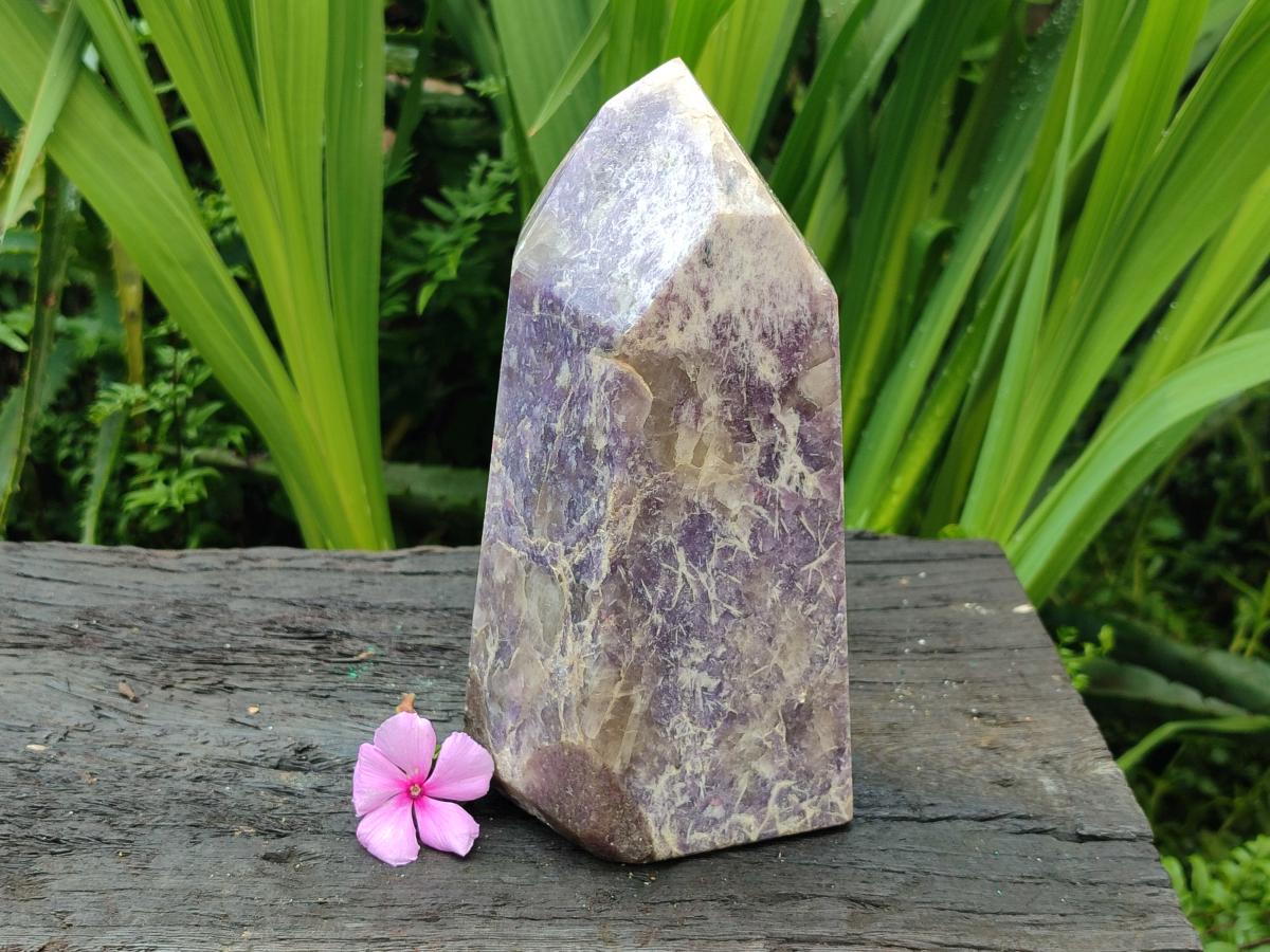 Polished Lepidolite With Pink Rubellite Standing Point x 1 From Ambatondrazaka, Madagascar