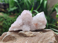 Natural Lilac Spirit Quartz Clusters x 12 From Boekenhouthoek, South Africa