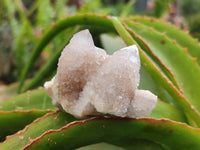 Natural Lilac Spirit Quartz Clusters x 12 From Boekenhouthoek, South Africa