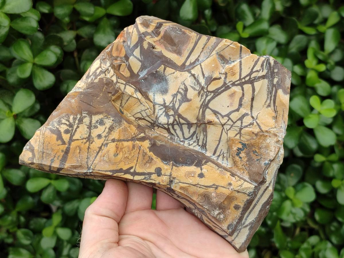 Polished On One Side Nguni Jasper Slabs x 3 From Northern Cape, South Africa