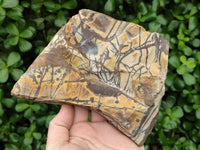 Polished On One Side Nguni Jasper Slabs x 3 From Northern Cape, South Africa
