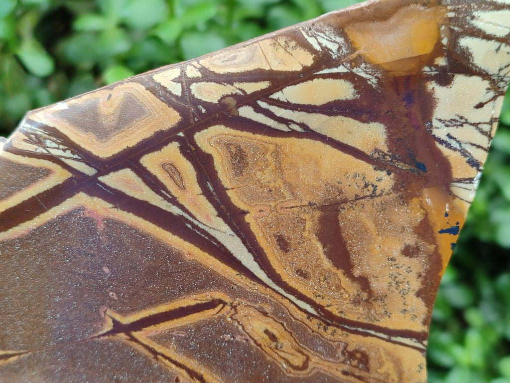 Polished On One Side Nguni Jasper Slabs x 3 From Northern Cape, South Africa