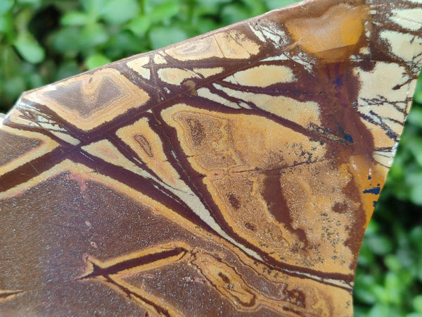 Polished On One Side Nguni Jasper Slabs x 3 From Northern Cape, South Africa