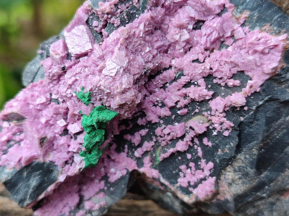 Natural Salrose Cobaltion Dolomite with Malachite Specimens x 6 From Kakanda, Congo