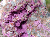 Natural Salrose Cobaltion Dolomite with Malachite Specimens x 6 From Kakanda, Congo