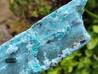 Natural Drusy Coated Chrysocolla On Dolomite Specimens x 3 From Lupoto Mine, Congo
