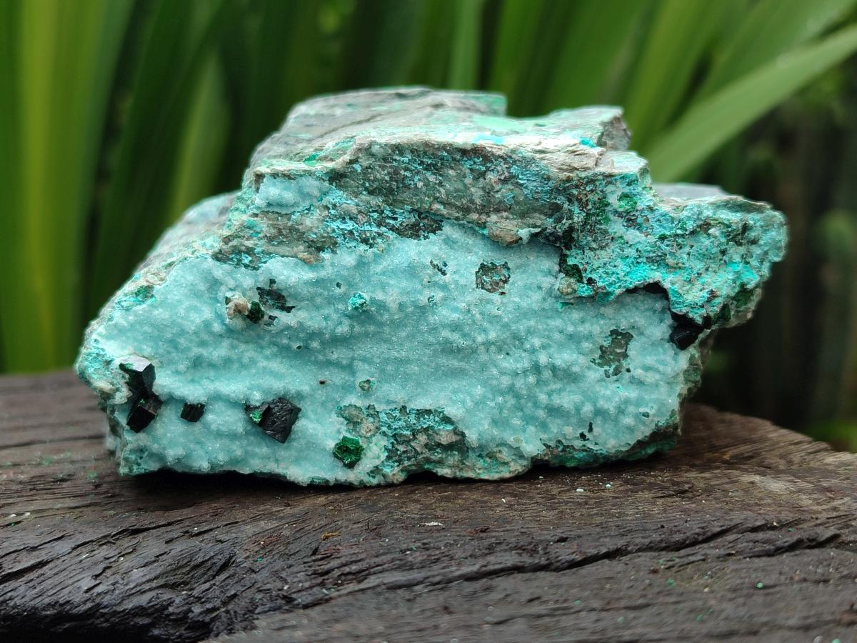 Natural Drusy Coated Chrysocolla On Dolomite Specimens x 3 From Lupoto Mine, Congo - Toprock Gemstones and Minerals 