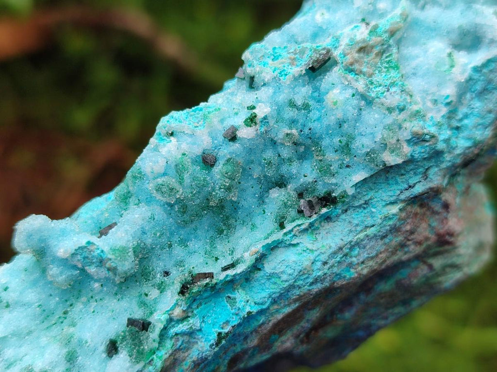 Natural Drusy Coated Chrysocolla On Dolomite Specimens x 3 From Lupoto Mine, Congo - Toprock Gemstones and Minerals 