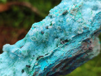 Natural Drusy Coated Chrysocolla On Dolomite Specimens x 3 From Lupoto Mine, Congo