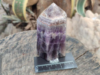 Polished Chevron Amethyst Crystals x 2 From Madagascar