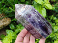 Polished Chevron Amethyst Crystals x 2 From Madagascar