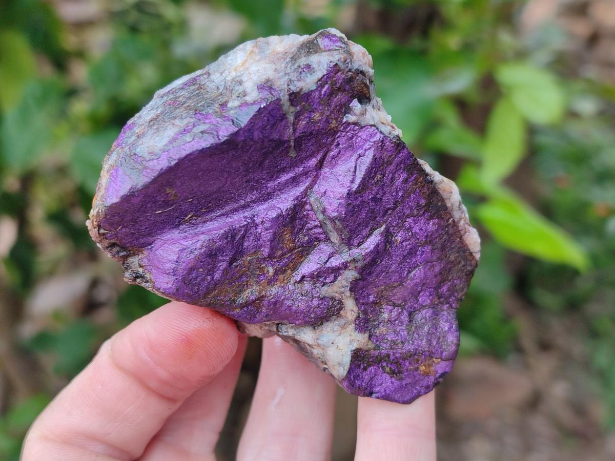 Natural Metallic Purpurite Specimens x 12 From Erongo, Namibia