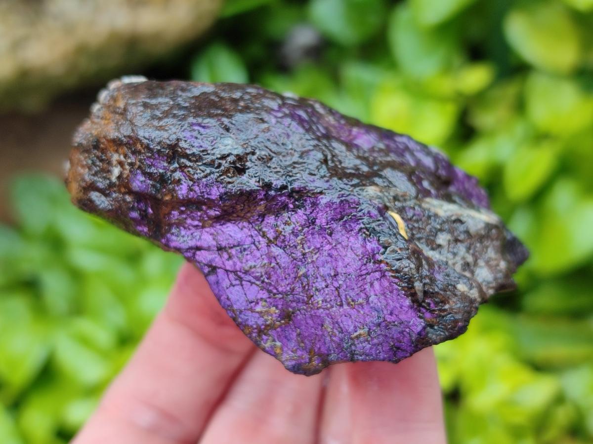 Natural Metallic Purpurite Specimens x 12 From Erongo, Namibia