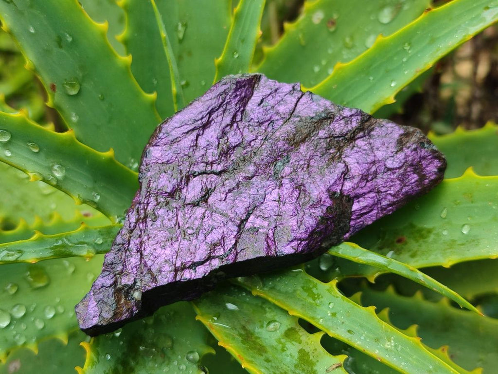 Natural Metallic Purpurite Specimens x 12 From Erongo, Namibia - Toprock Gemstones and Minerals 