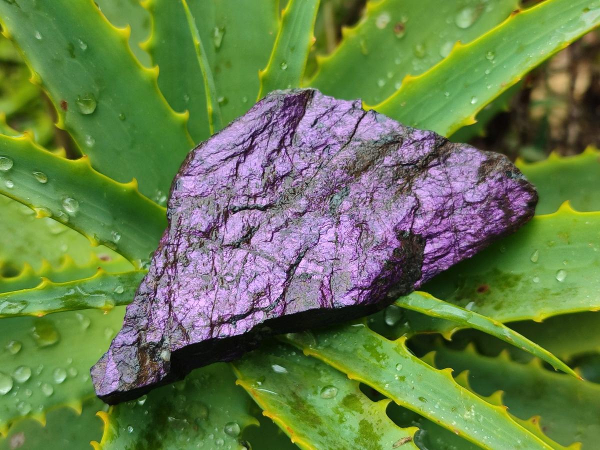 Natural Metallic Purpurite Specimens x 12 From Erongo, Namibia - Toprock Gemstones and Minerals 