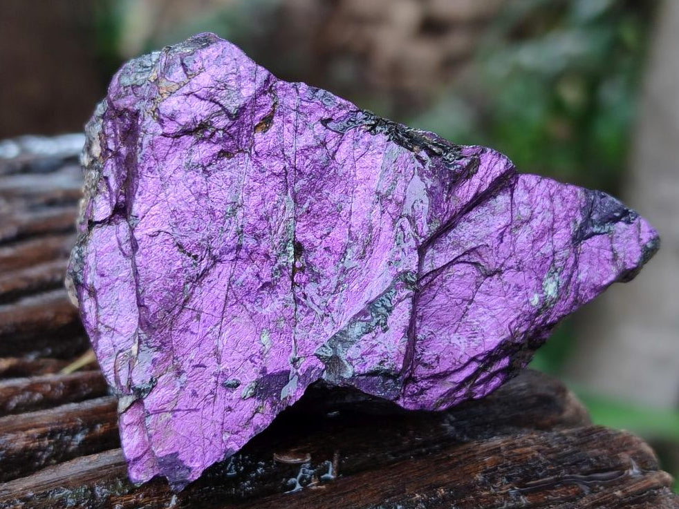 Natural Metallic Purpurite Specimens x 12 From Erongo, Namibia