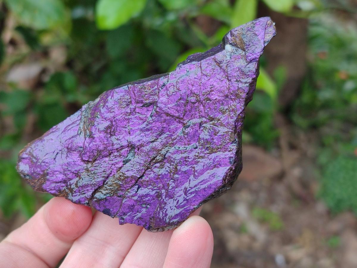 Natural Metallic Purpurite Specimens x 12 From Erongo, Namibia