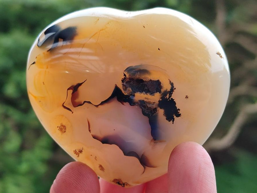 Polished Banded Agate Hearts x 7 From Madagascar
