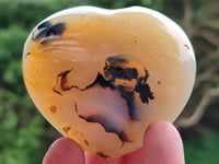Polished Banded Agate Hearts x 7 From Madagascar