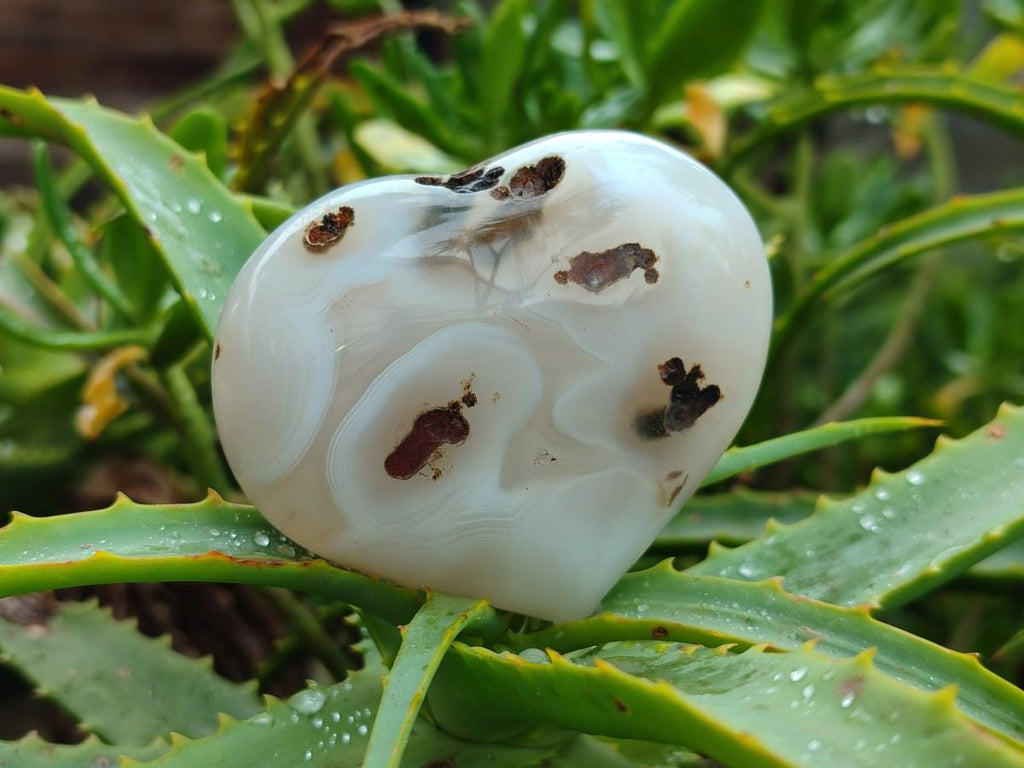 Polished Banded Agate Hearts x 7 From Madagascar