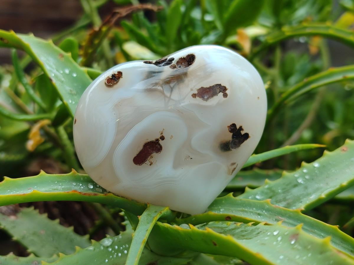 Polished Banded Agate Hearts x 7 From Madagascar