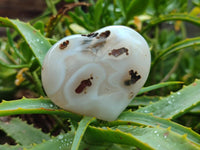 Polished Banded Agate Hearts x 7 From Madagascar