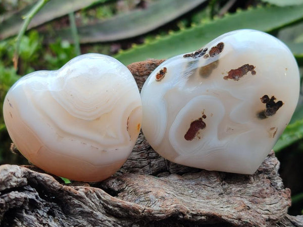 Polished Banded Agate Hearts x 7 From Madagascar