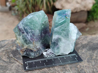 Natural Watermelon Fluorite Cobbed Specimens x 24 From Uis, Namibia