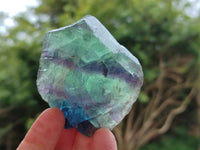 Natural Watermelon Fluorite Cobbed Specimens x 24 From Uis, Namibia