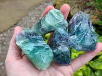 Natural Watermelon Fluorite Cobbed Specimens x 24 From Uis, Namibia