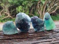 Natural Watermelon Fluorite Cobbed Specimens x 24 From Uis, Namibia