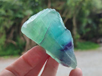 Natural Watermelon Fluorite Cobbed Specimens x 24 From Uis, Namibia