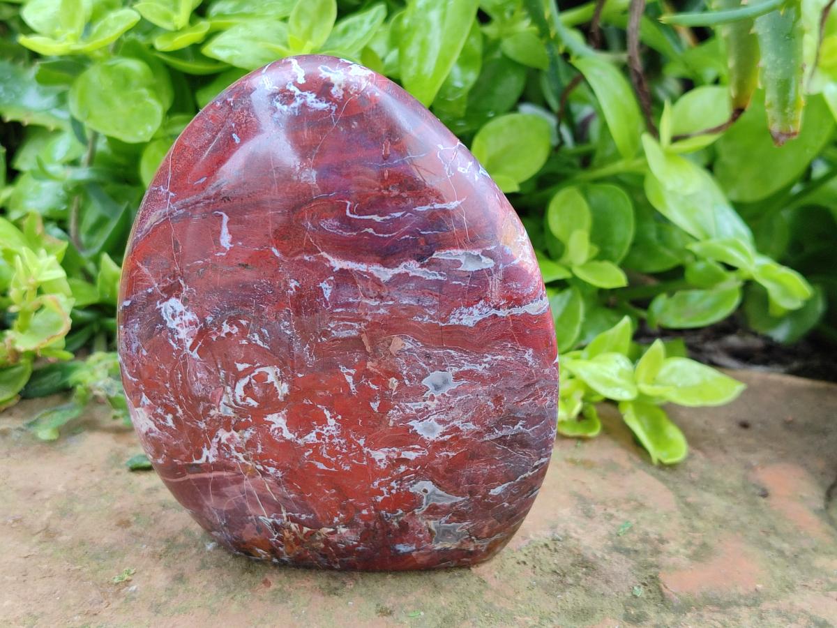 Polished Red Jasper Standing Free Forms x 3 From Madagascar