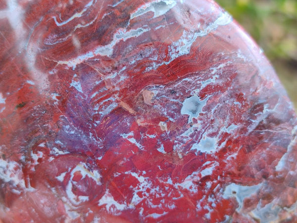 Polished Red Jasper Standing Free Forms x 3 From Madagascar