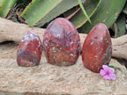 Polished Red Jasper Standing Free Forms x 3 From Madagascar