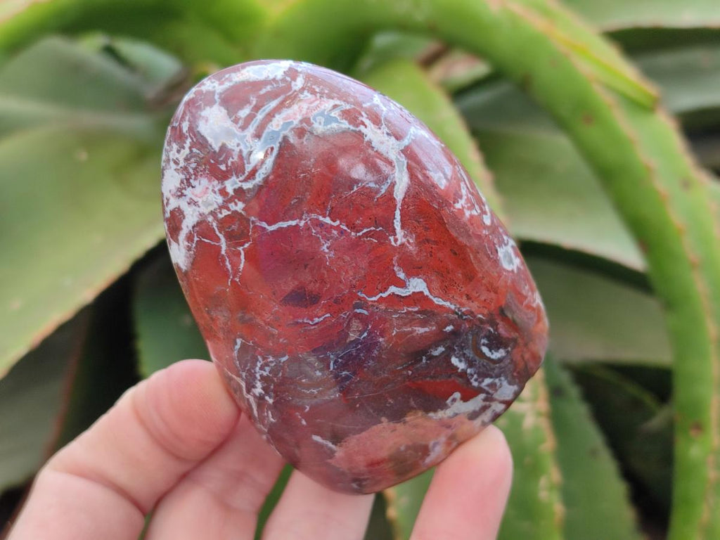 Polished Red Jasper Standing Free Forms x 3 From Madagascar